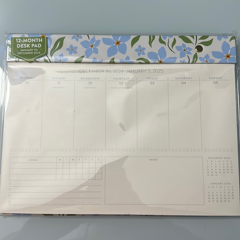 NWT OCS 12-Month Desk Pad